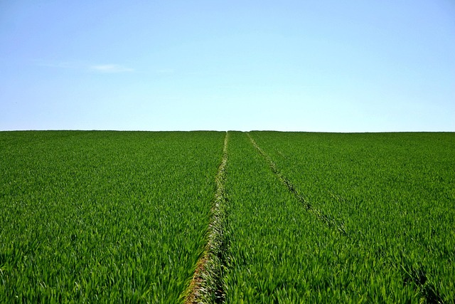 land-for-sale-640x480-54010109.jpeg