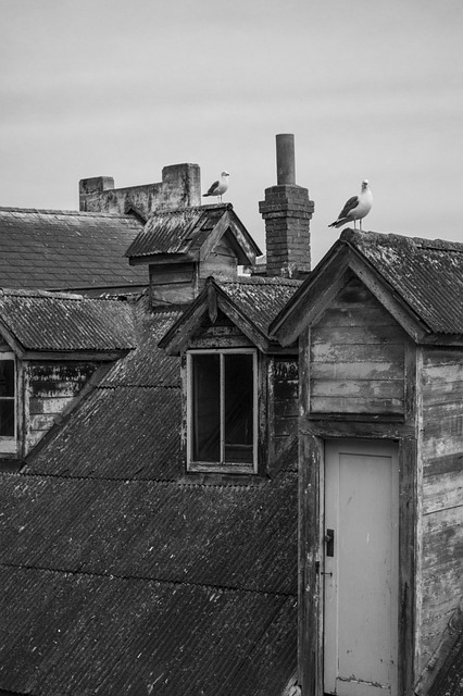 roofing company