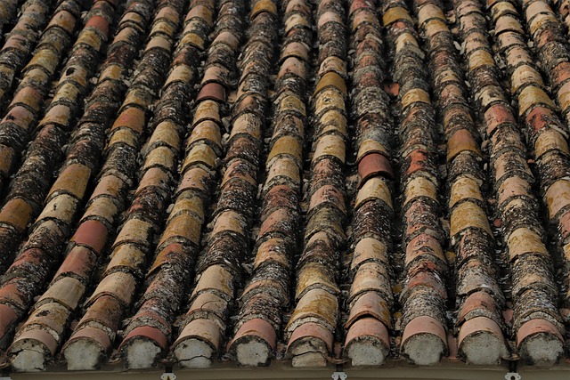 roofing company