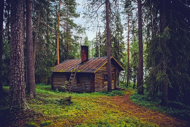 buy a home