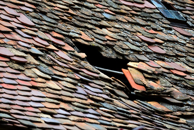 local-roofing-experts-austin-640x480-94593023.jpeg