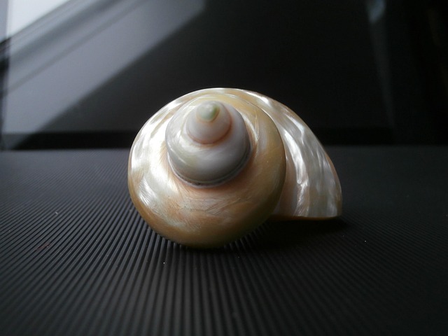 pearl restringing