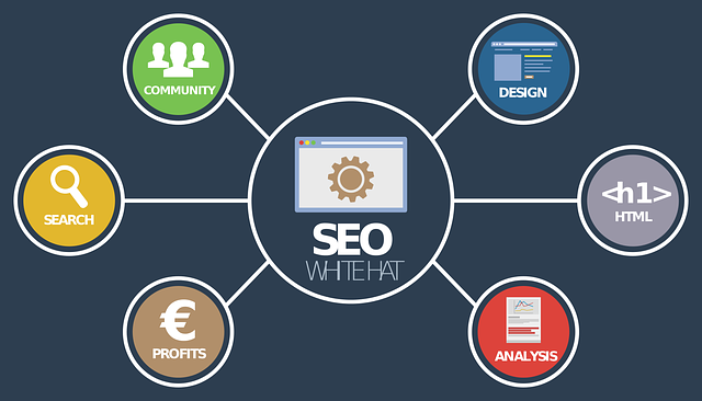 affordable-seo-experts-austin-640x480-86136326.png