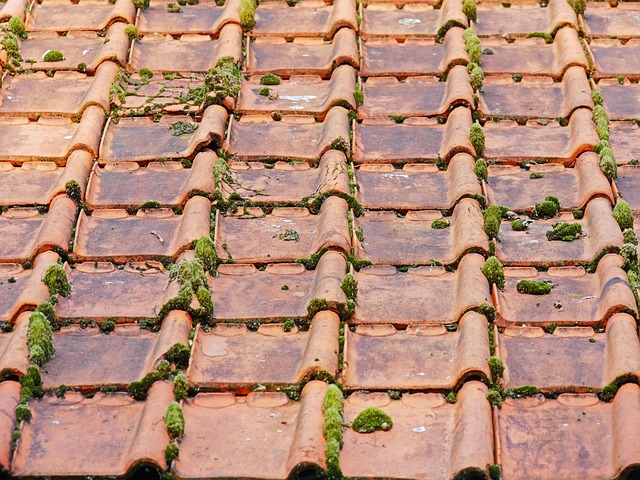 Best Roofing Services Austin