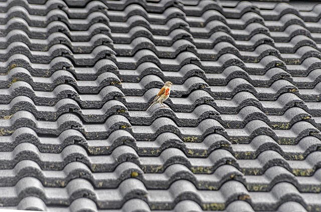 Best Roofing Services Austin