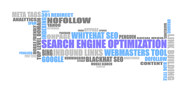 Best SEO Services Denver