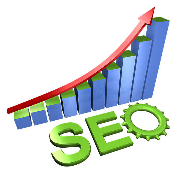 Denver SEO Optimization