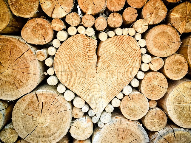 Engineered Wood Flooring Austin