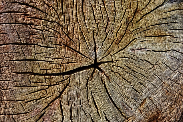 Engineered Wood Flooring Austin