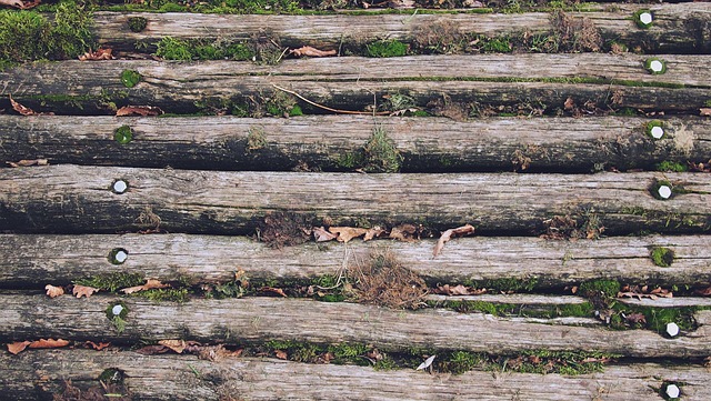 hardwood-flooring-austin-tx-640x480-58728476.jpeg