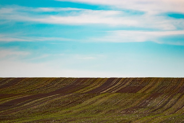 land-for-sale-640x480-20476025.jpeg
