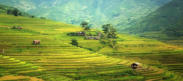 land-for-sale-640x480-2668145.jpeg