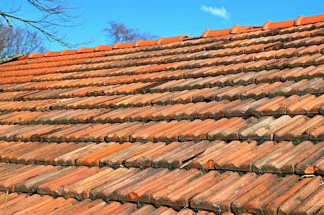 local-roofing-experts-austin-640x480-26521264.jpeg