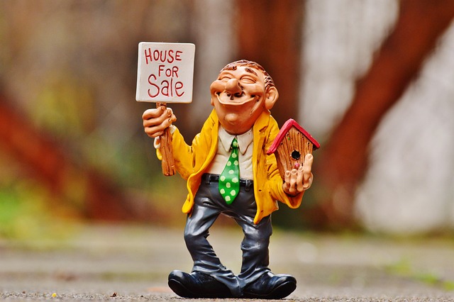 real estate agent