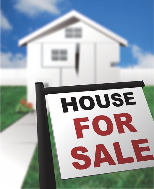 Real Estate Agent Near San Marcos