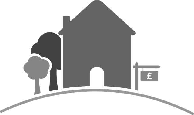 Real Estate Agent Near San Marcos