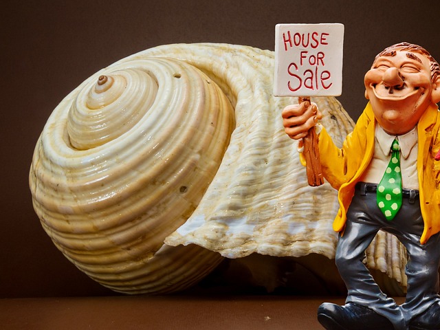 real-estate-agent-near-san-marcos-640x480-87492349.jpeg