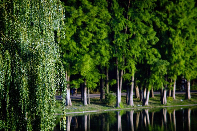 Recover My Data Cedar Park TX