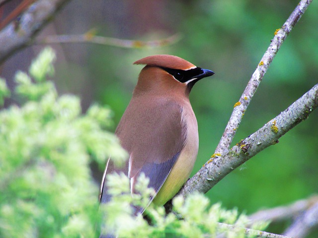 Recover My Data Cedar Park TX