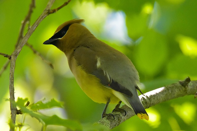 Recover My Data Cedar Park TX