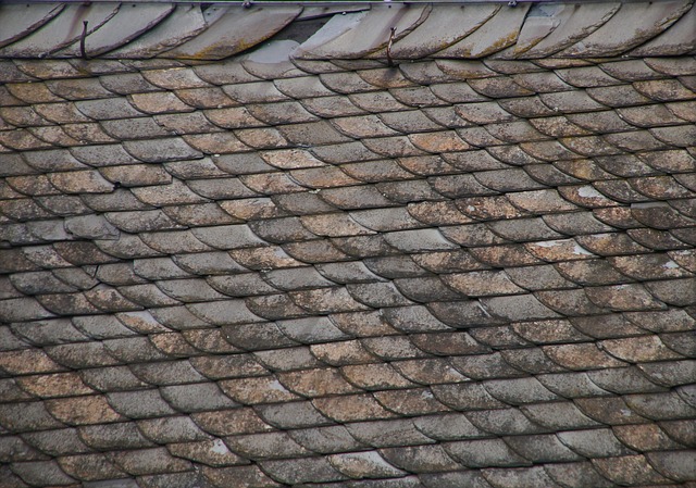Roofer Austin