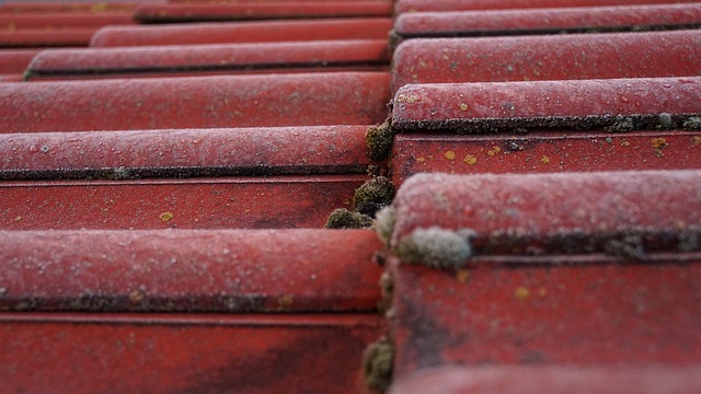 Roofing Company Austin