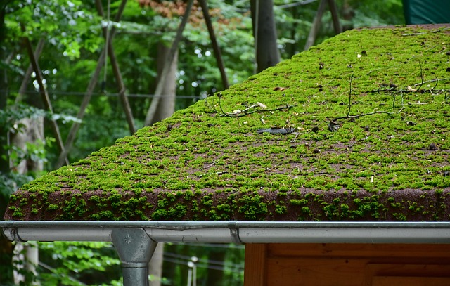 Roofing Company Austin