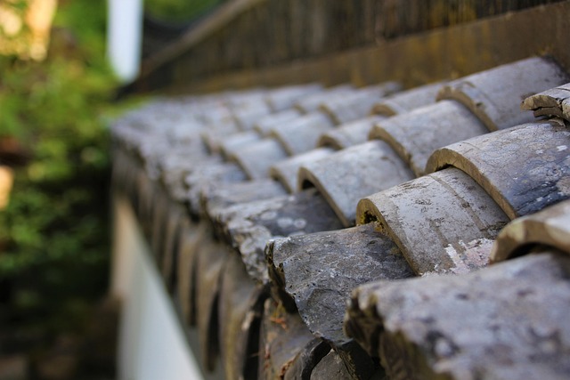roofing-company-austin-640x480-62313902.jpeg