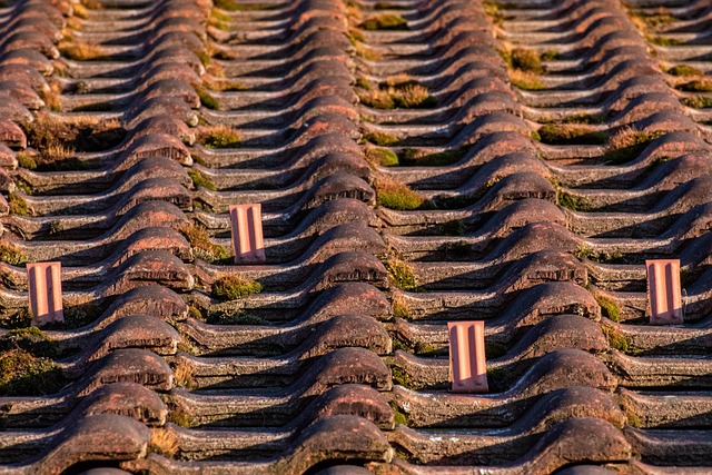 Roofing Company Austin