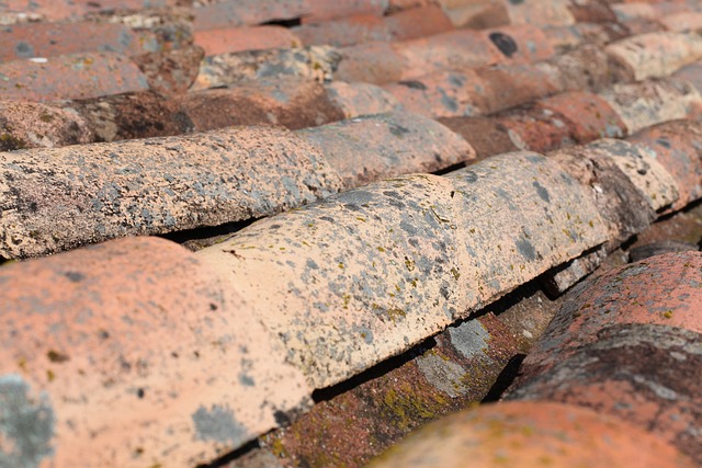 Roofing Company Austin