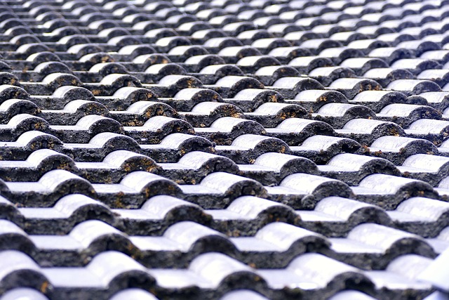 Roofing Company Near Me Austin