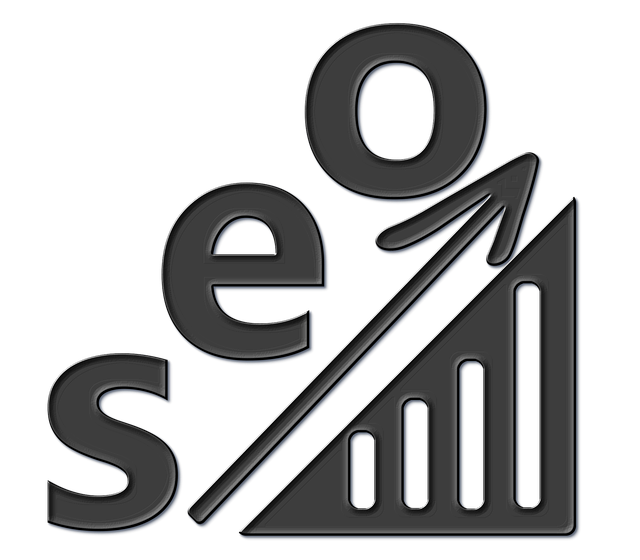 seo-services-denver-640x480-66960059.png