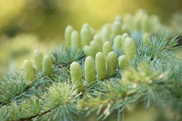slow-computer-cedar-park-tx-640x480-15425025.jpeg