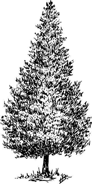 slow-computer-cedar-park-tx-640x480-50627770.png