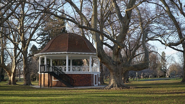 slow-computer-cedar-park-tx-640x480-89473239.jpeg