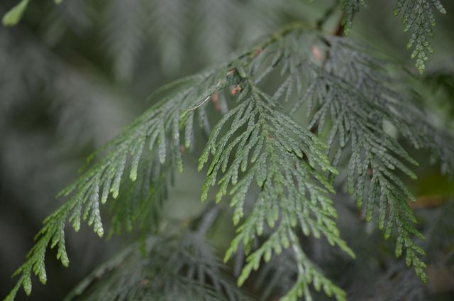 slow-computer-cedar-park-tx-640x480-93035053.jpeg