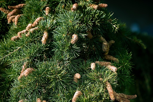 slow-computer-cedar-park-tx-640x480-93212342.jpeg