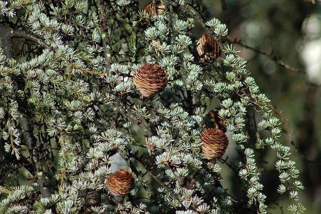 slow-computer-cedar-park-tx-640x480-96456424.jpeg