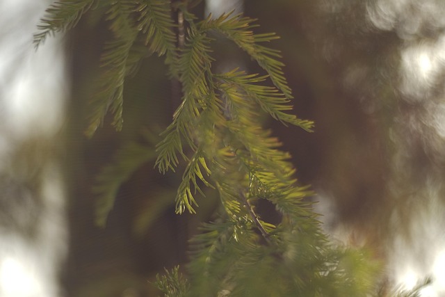 slow-pc-cedar-park-640x480-35958746.jpeg