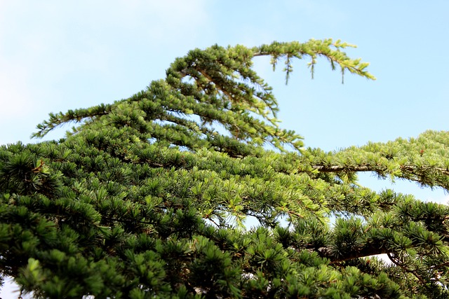 slow-pc-cedar-park-640x480-64127587.jpeg