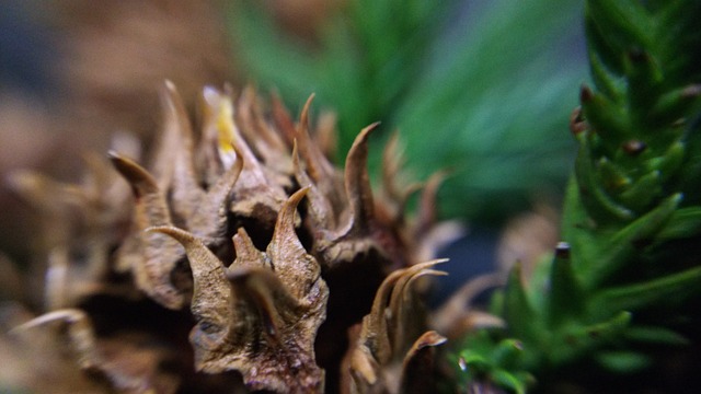 slow-pc-cedar-park-640x480-73112525.jpeg