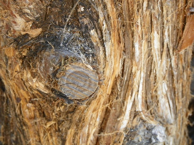 slow-pc-cedar-park-640x480-87523806.jpeg