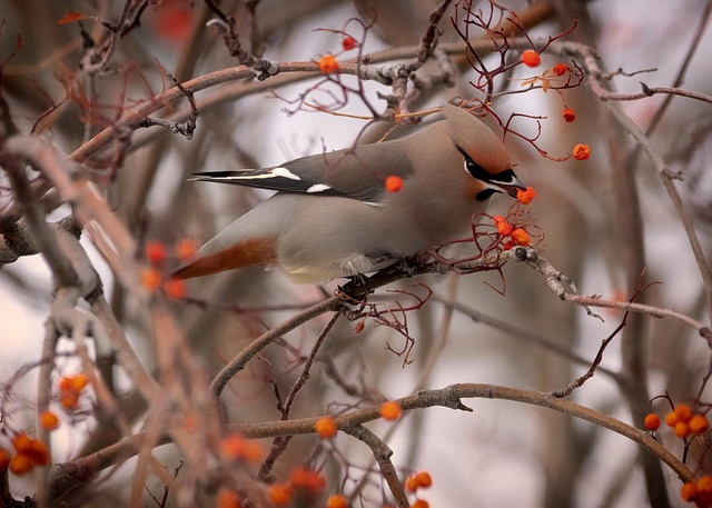 slow-pc-cedar-park-640x480-88967956.jpeg