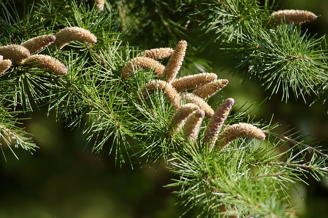 slow-pc-cedar-park-640x480-95079460.jpeg