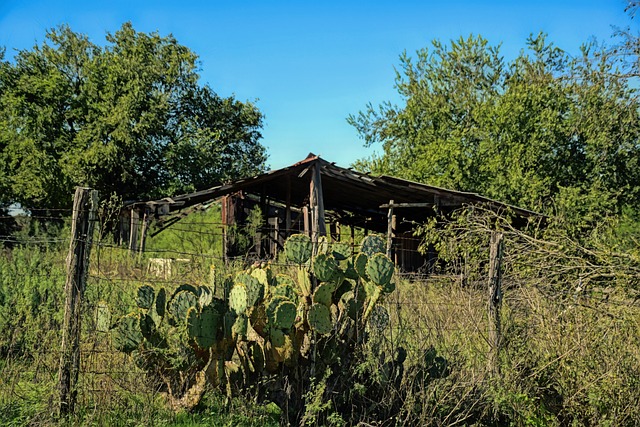 Top Rated Roofers Austin
