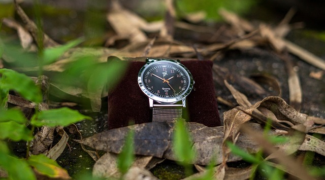 watch-and-jewelry-repairs-cedar-park-640x480-2903154.jpeg