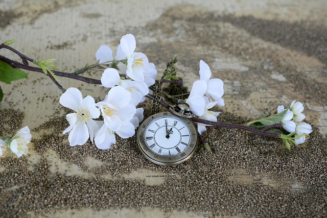 Watch and Jewelry Repairs Round Rock