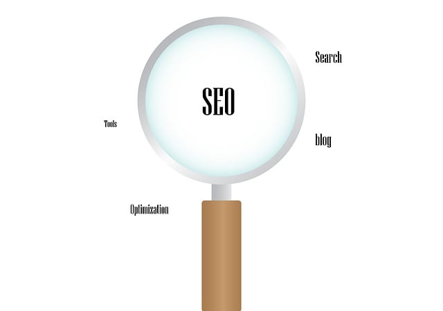 Denver SEO Optimization