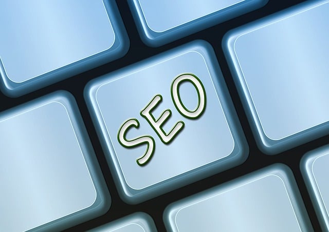 Denver SEO Optimization