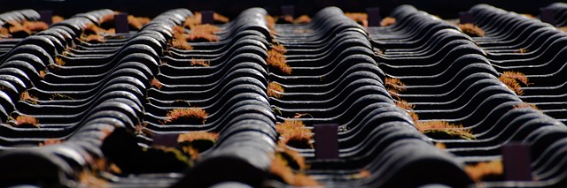 local-roofing-experts-austin-640x480-19901023.jpeg
